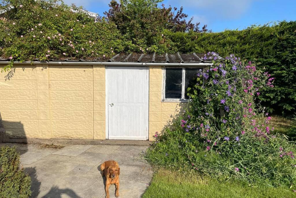 3 Bed Bungalow In Winchcombe, Cotswolds,Gloucester Ngoại thất bức ảnh